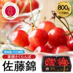 fu.... налог восток корень город [2026 год производство предшествующий прием ] получение заранее! нет . температура house культивирование GI [ восток корень вишня ] Sato .800g роза ..