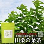 焼畑農家がつくった山桑の葉茶 スティックタイプ
