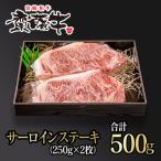 宮崎和牛 齋藤牛 サーロインステーキ250g×2枚 500g
