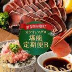 ふるさと納税 室戸市 <3ヶ月連続>カツオとマグロ堪能定期便B
