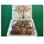 fu.... налог Fuji город гора Фудзи ta вставка . Ray .*. Fuji .(..)* вёшенка степная [ прекрасный тест .... . комплект ](1040)