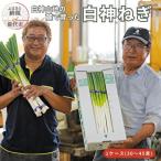 fu.... налог талант плата город [8 месяц ~ следующий 2 месяц ограничение отгрузка ] белый бог гора земля. ..... белый бог лук порей прямая поставка от производителя [No.5335-0193]