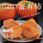 富有柿 5kg箱 L~2Lサイズ