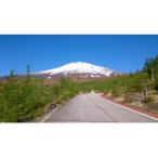 富士山 三国山 明神山 金時山のガイド利用券
