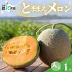とままえメロン 1玉