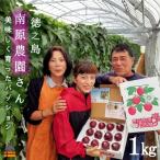 ~情熱の島からお届け~南原 はいばる 農園さんのパッション…