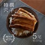 あなご料理専門店の~ふっくら肉厚~特撰