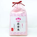 定期便6回 昔ながらの有機れんげ栽培 恋華米 2kg×6カ月
