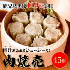 ふるさと納税 南九州市 鹿児島黒豚入れすぎ!肉焼売45個
