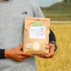 定期便3ヶ月 たごもり農園の自然米ヒノヒカリ 3kg