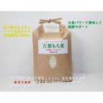 万葉の里 万葉もち麦 2kg