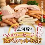 ドレッシング1本付き 厳選三河豚のハム&ソーセージスペシャ…