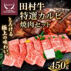 Y113 田村牛 特選カルビ焼肉セット