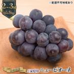ぶどう 2026年 ニュー ピオーネ 約1.2kg