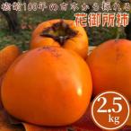 Y091 樹齢100年の古木から採れる花御所柿 2.5kg