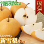 ふるさと納税 八頭町 冬に食べられる梨 新雪梨(特秀) 3kg