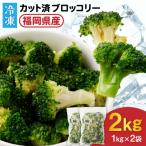 JAむなかたブロッコリー部会より 冷凍ブロッコリー2kg 1kg×…
