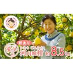 ふるさと納税 愛南町 �