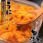ふるさと納税 根室市 <計200g>無添加蝦夷バフンウニ塩水パック100g×2P C-90006