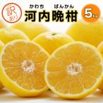 ふるさと納税 愛南町 