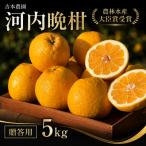河内晩柑 愛南ゴールド 5kg