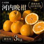 河内晩柑 愛南ゴールド 3kg