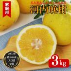 河内晩柑 愛南ゴールド 3kg