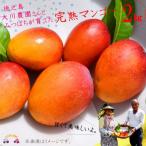 徳之島大川農園とみつばちが育てた完熟マンゴー 2kg