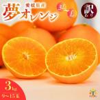 ふるさと納税 愛南町 【訳あり】みかん職人の夢オレンジ 3kg オレンジ みかん 柑橘 愛南町 みかん職人武田屋