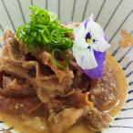 淡路牛すじ煮込み 100g×3袋