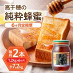 日本みつばち 高千穂の純粋蜂蜜 600g×2本