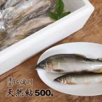 フレッシュマートキシモトさんの天然鮎