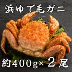 流氷明け浜ゆで毛ガニ約400g×2尾
