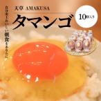 S038-004A_天草 タマンゴ 10個