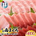 マグロ 厳選 南 まぐろ 大トロ 中トロ 食比べ