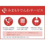 みまもりでんわサービス 3か月