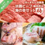 ほんまもん淡路島 淡路ビーフ 焼肉用 &amp;海の幸セット