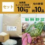 加西産ヒノヒカリと季節の野菜詰め合わせ