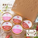 農家がつくったジェラートセット5個入