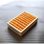 ふるさと納税 根室市 エゾバフンウニ並べ詰め150g×1折[2026年3月上旬以降発送] B-71012