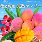 てぃだ 太陽 を浴びて育った徳之島産完熟マンゴー 2kg