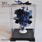 藍染花 ケース入り
