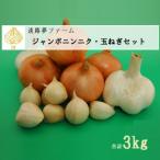 fu.... налог юг ... город [.. сон ферма ] jumbo чеснок * шар лук порей комплект 3kg