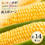 最高糖度25度超え 牛窓産 黄色 とうもろこし