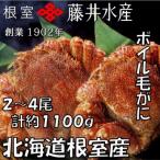 ボイル毛がに2尾 計800g