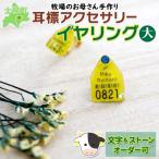 耳標イヤリング 大