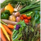 fu.... налог Kirishima город Kirishima производство!.. овощи комплект ( сезон. овощи 10 товар )[ иметь машина ферма ..] A2-011