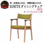 IGNITE ダイニングチェア 肘付 JIG-DCX206A