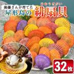 緋扇貝 計32枚