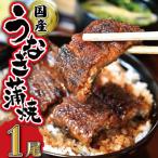 ふるさと納税 明和町 うなぎのかば焼き 1尾入り (タレ2本入り)